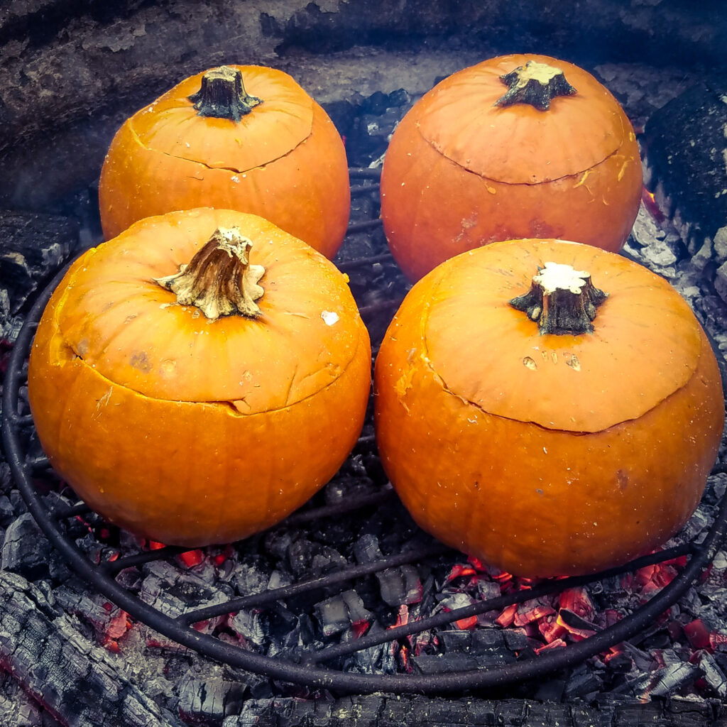 Pumpkins cooked atop a grate on a campfire